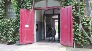 Video of Biskwit