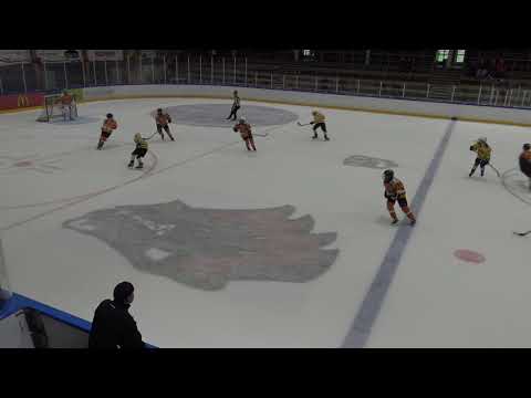 -08/D2 AAA Kurra musta - RNK Blue Knights