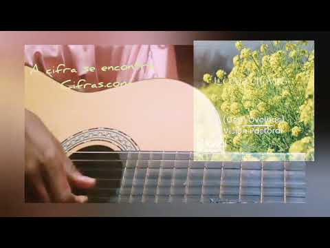 Cem Ovelhas - Lucelia Chavito