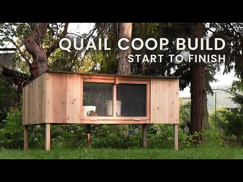 Absolutely STUNNING Quail Coop Built Start-to-Finish for Under a Hundred Bucks!