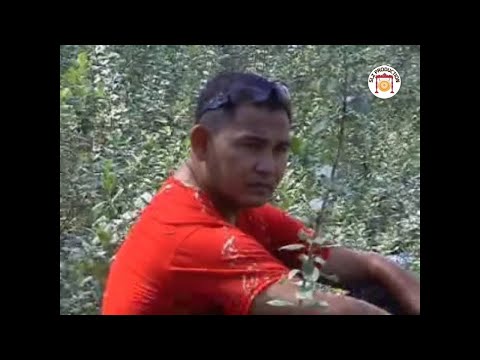 Cikgu Sulizi - Ku Rela Kau Pergi (Video Muzik)