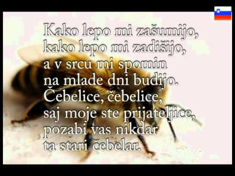Čebelar - Ansambel Lojzeta  Slaka ~ Ponos Slovenije