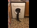 Bellatrix Watching Washing Machine