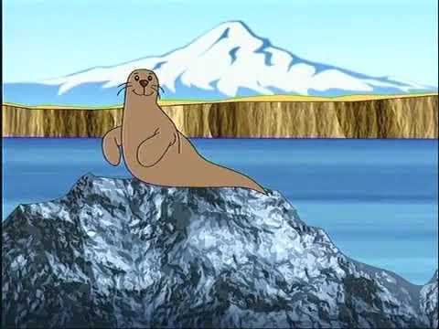 Spotlight 4 Student's Book Module 4 At the Zoo page 58 ex. 1 Funny Animals Songs #EnglishStream