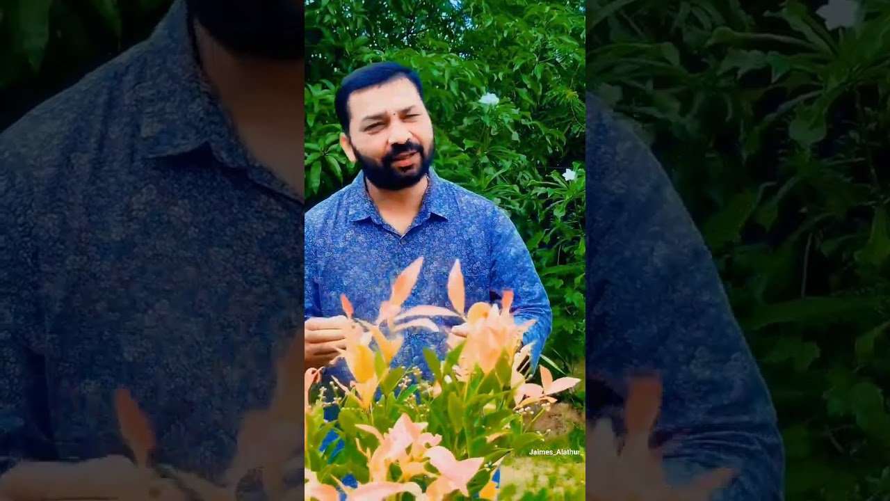 ഒത്തമിഴി കൺമുനയിൽഒരു ദീപമായ്..♥️#trending #shortsvideo #song #music #tamilsong #love #viral #nature