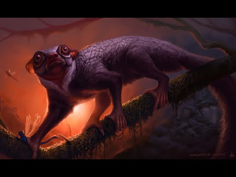 Monkey Business: The Earliest Evolution of Primates