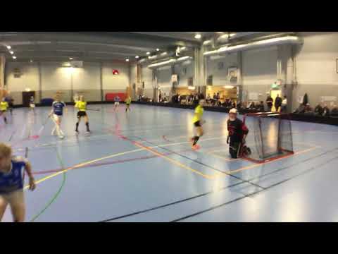 Flickor Röd A 18/19 : Hjulsbro IK F04 - Bergs IK