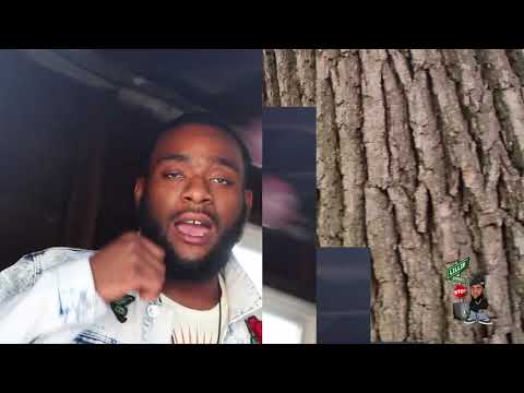 Lil'Juu Widdaus - Ima Shine (Official Video) [Mozzy Remix)