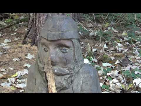 Wakefield, England ll Autumn Walk, fresh air and tranquility