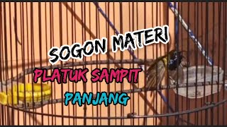 Download lagu Sogok ontong materi platuk sampit mp3