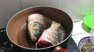 Download lagu cá chép rán rất ngon, đầu bếp mp3 Download lagu cá chép rán rất ngon, đầu bếp mp3