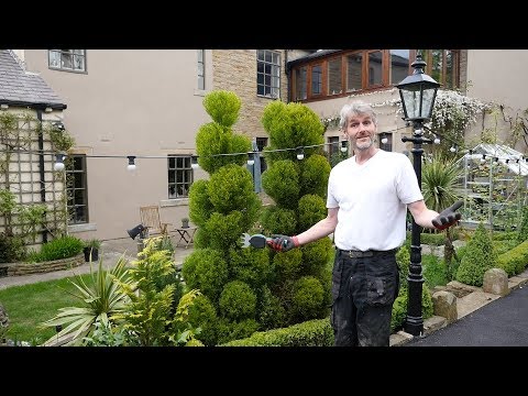 How to cloud prune - part 1 - inspired by Jake Hobson and Niwaki techniques