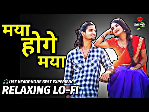 Maya Hoge Maya | Aditya& Alisha | RELAXING LO-FI | मया होगे मया | DJ STAR FF 