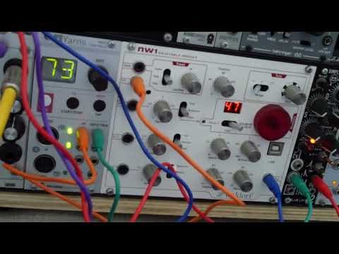 Waldorf NW1 Wavetable Oscillator Module 2015 - Present - White image 3