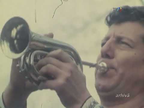 Constantin Gherghina - Arhiva