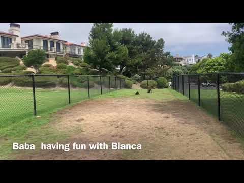 Baba playing with her best friend