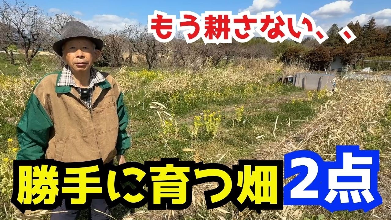 耕さないのが正解？無肥料でも野菜が育つ“土”の秘密