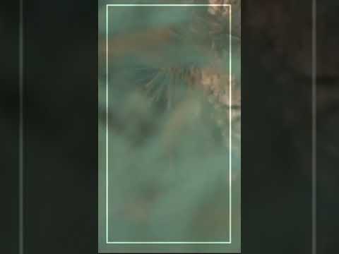 💞💞High on love💞💞 sad version |TeeJay| 💕💕Tamil love💕💕 vertical WhatsApp status video