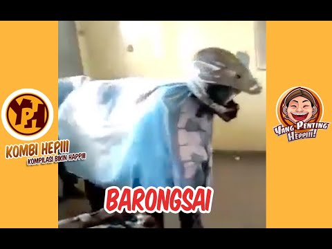 kombi-heppiii-atraksi-barongsai