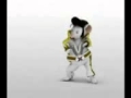Animales Cantando