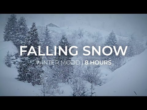 Winter Mood | 8 Hours of Snow Fall for Relaxation & Meditation