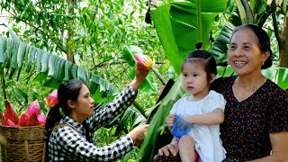 Harvesting and processing banana flowers wrapped in leaves - Journey to the market and Family Dinner