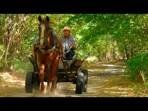 Life in a village of an indestructible elderly couple far from civilization