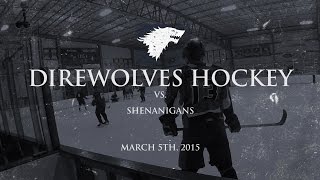 preview picture of video 'Direwolves Hockey vs. Shenanigans - CAHL - The Chiller (Dublin, Ohio)'
