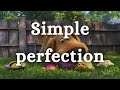 Dug Days Why Pixar Are The Best