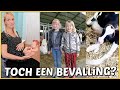 BEGiNT DE BEVALLiNG VANDAAG? OF TOCH NAAR DE BOERDERiJ! ? | Bellinga Vlog #2144