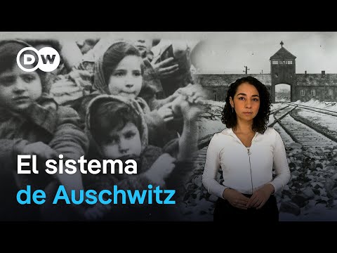 Cómo funcionaba Auschwitz, el mayor campo de concentración y centro de exterminio del nazismo