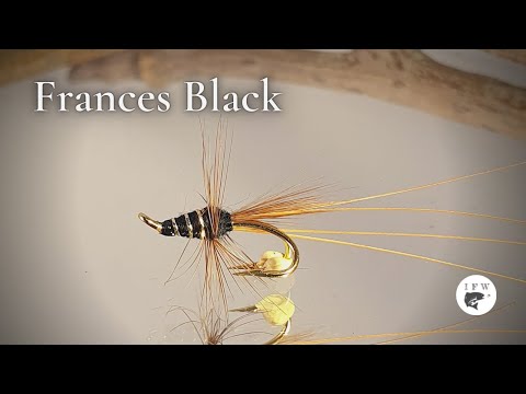 Tying a fly called Frances Black Fly Tying tutorial | Ívar's Fly Workshop