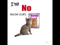 Cat Sad Beach Bunny Prom Queen Music