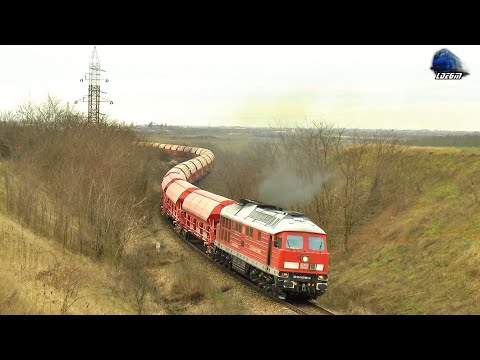 🚂BR232 Ludmilla 65-1009-8 & Mecanic Super Engineer in Acțiune/Action in Biharia - 23 January 2021
