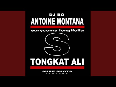 Tongkat Ali (Rockstarzz Remix)