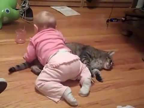 NAUGHTY BABY & PATIENT CAT