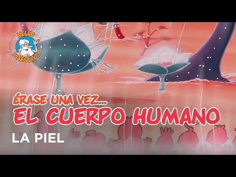 Once Upon a Time... The Human Body - The Skin