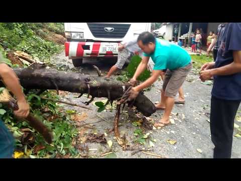 ncig saib  teb chaws toj pob txhub kev 29/7/2018 txhaus ntshai heev li