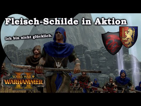 Fleisch-Schilde in Aktion - Bretonen vs Vampirfürsten Total War: Warhammer 2