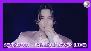 Download lagu SEVENTEEN (세븐틴) - Fallin' Flower (舞い落ちる花びら) (Live) [SUB ESPAÑOL] mp3