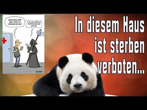 Wusstest du das ???  #43