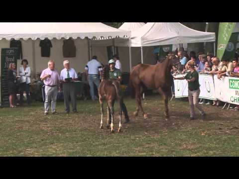 Lot 92   M14   Coastal Path   Science Fiction