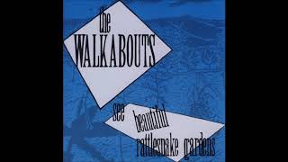 The Walkabouts - Robert McFarlane Blues