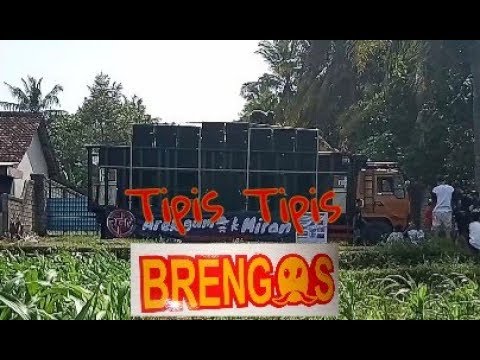 BRENGOS SUMET TIVIS TIVIS ____ANYES MAK