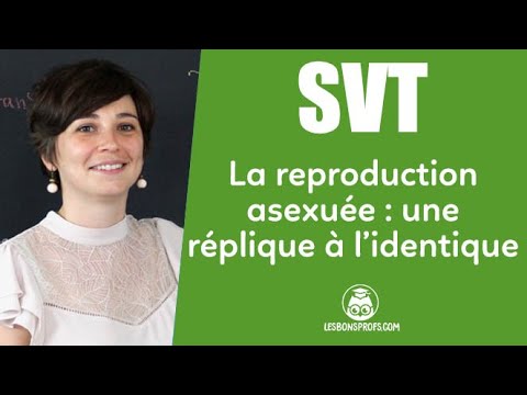 La reproduction asexuée