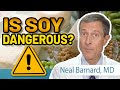 Is Soy Dangerous Neal Barnard MD