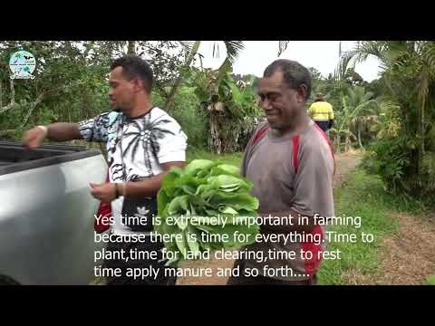 NATI   Bera Colati, Youth Farmer,Sarava Farms