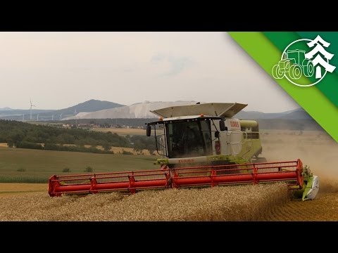 Dreschen mit Claas Lexion 760 TT & Vario 1050