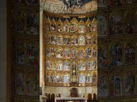 Concierto en la catedral de Salamanca