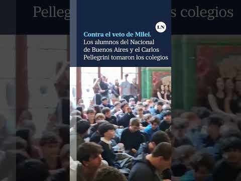 Alumnos del Nacional Buenos Aires y el Carlos Pellegrini tomaron los colegios en contra del veto